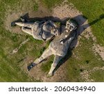 Small photo of Boom, Antwerp, Belgium 23 July 2021: People standing on Giant wooden troll sculptures Una and Joures by Thomas Dambo in a green field of grass in Park de Schorre in Boom, Antwerp, Belgium.Drone aerial