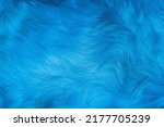 Blue fur texture close-up beautiful abstract feather background