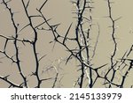 Thorny acacia branches with lot of thorns. Art nature background