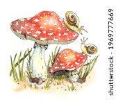 Watercolor Fly Agaric And...