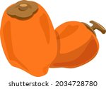 dride persimmon   autumn taste... | Shutterstock .eps vector #2034728780