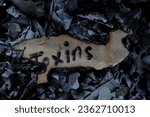 Small photo of Burn and destroy body toxins or detox concept. Burning paper with written word toxin.