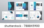 design vector template layout... | Shutterstock .eps vector #788845900
