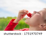 A child with great pleasure puts in his mouth a red, ripe strawberry