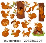 Cartoon Squirrel Woodland...
