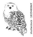 polar owl sketch  realistic... | Shutterstock .eps vector #1835480869
