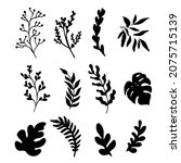 vector set of different plant... | Shutterstock .eps vector #2075715139