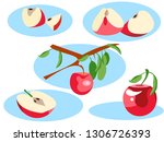 apple in different portions.... | Shutterstock .eps vector #1306726393