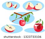 apple in different portions.... | Shutterstock . vector #1323733106