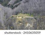 Small photo of A long distance view on the Historic Skippers School and DOC campground in the Skipper's Canyon. Wakatipu’s 1860s gold fever settlement remains. Mountains and dry trees. Queenstown area, New Zealand.