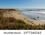 Panoramic view of the Elephant Seal Vista Point, California State Park, USA