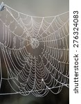 spider web. morning dew  drops... | Shutterstock . vector #276324083