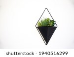 Hanging Planter On A White...