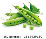 Small photo of Fresh green pea pod with clipping path, with beans isolated on white background. Sweet peas (beans) with green leaves.