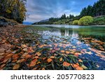 Autumn leaves on Clutha River at sunset, Otago, New Zealand
