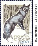 Small photo of USSR-circa 1967: postage stamp printed in the USSR with the image and inscription in Russian "Silver-black fox", from the series "Animals". circa 1967