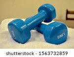 a pair of dumbbells close up | Shutterstock . vector #1563732859