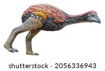Small photo of Vorombe Titan is one of three genera of elephant birds, an extinct family of large ratite birds endemic to Madagascar, Vorombe Titan isolated on white background with a clipping path
