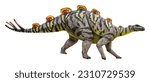 Wuerhosaurus is a herbivore...