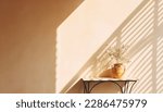Small photo of Modern summer minimal of olive tree on table in sunlight with long shadows on beige wall background, copy space interior lifestyle Mediterranean scene