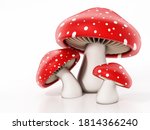 Red And White Wild Mushrooms...