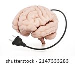 Human Brain With Electric Plug. ...