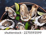 Oysters with lime on a round plate. Oysters are lying on ice. Oyster season. An open oyster shell.Flat lay.Top view.