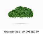 Environmental cloud and concept Recycle Icon of double exposed trees isolated on white background clipping path.