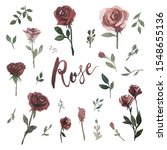 set of watercolor theme  roses  ... | Shutterstock . vector #1548655136