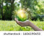 Hands protecting globe of green tree on tropical nature summer background, Ecology and Environment concept