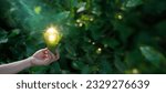 Small photo of Hand holding light bulb against nature on green leaf with energy sources, Sustainable developmen and responsible environmental, Energy sources for renewable, Ecology concept.
