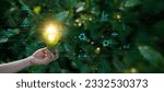 Small photo of Hand holding light bulb against nature on green leaf, Organization sustainable development environmental and business responsible environmental, Ecology, Energy sources for renewable