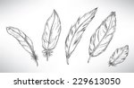 collection of feathers. | Shutterstock .eps vector #229613050