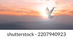 Small photo of Doves fly in the sky. Christians have faith in Holy Spirit. silhouette worship to god with love Faith, Spirit and jesus christ. Christian praying for peace. Concept of worship in Christianity.