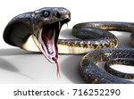 Yellow Venomous Snake image - Free stock photo - Public Domain photo ...