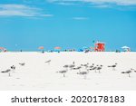 Siesta Key Beach in Sarasota Florida. #1 Beach in the USA. Red wooden lifeguard hut and flying seagulls on an empty morning beach. Top ten best beaches in the USA with white sand.