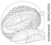 durian fruit.coloring book... | Shutterstock .eps vector #1854114310