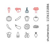 illustration of 16 vegetables... | Shutterstock . vector #1156131886