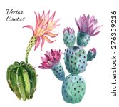 Watercolor Cactus Set Isolated...