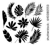 tropical leaf silhouette... | Shutterstock .eps vector #640380553