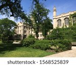 Exterior of University of Chicago campus from the main quad during the summer. Lots of bright green, benches, dappled branches and not a cloud in the sky. It is a striking day on campus.