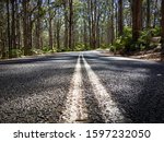 Background with Forest in background and bitumen road with double white solid lines in centre in the foreground - Boranup Karri Forest and Caves Road, Boranup, WA, Australia