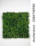 Small photo of Artificial fake plant bush wall for interior and exterior decoration.