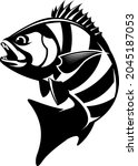 Sheepshead Fish Logo template. Unique and Fresh sheephead fish jumping. Great to use as your sheepshead fishing activity. 