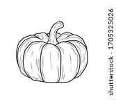 Vector Hand Drawn Pumpkin In...