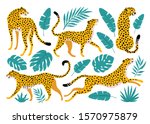 vector set of leopards and... | Shutterstock .eps vector #1570975879