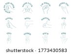 hand sign icon set 12 types ... | Shutterstock .eps vector #1773430583