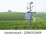 Weather station in green tea...