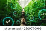 Small photo of Professional Male Bioengineer Examining Crops on Modern Vertical Farm. Man With Tablet Computer Grows Organic Food or Plants In High-Tech Greenhouse. VFX Infographics Edit Showing Data.