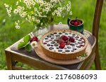 berries and cottage cheese summer cake or tart  in garden, rustic style, picnic outdoor, selective focus